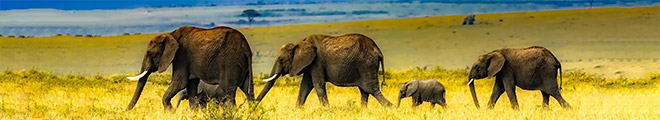 Viajes África