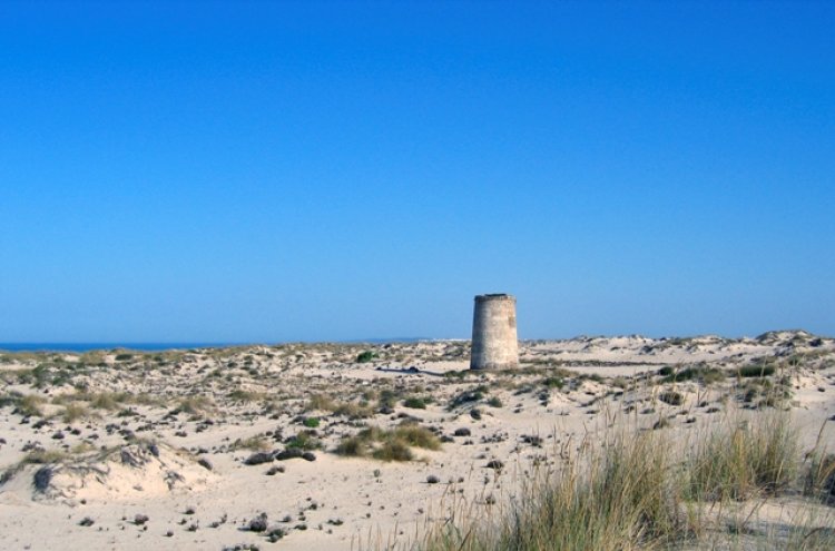 Relájate en hotel 4* en Matalascañas (Costa de la Luz) - Matalascañas