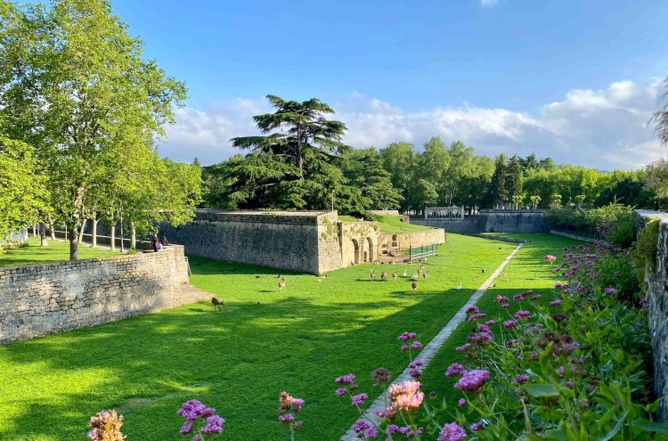 ¡Pamplona te espera! Escápate al norte y saborea Navarra - Pamplona
