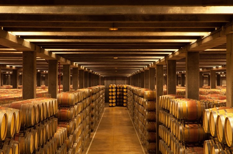 ¡Desconexión entre viñedos! La Rioja desde tu villa privada - Logroño