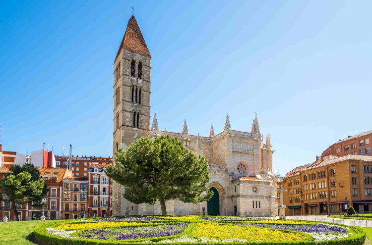 Relax entre viñedos: hotel 4* con spa en la Ribera del Duero - Valladolid