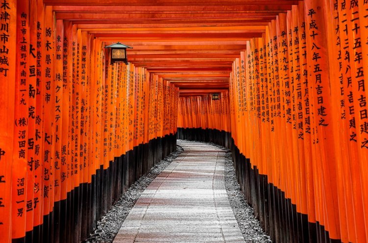 ¡Hazlo realidad! Tu gran viaje a Japón empieza ahora