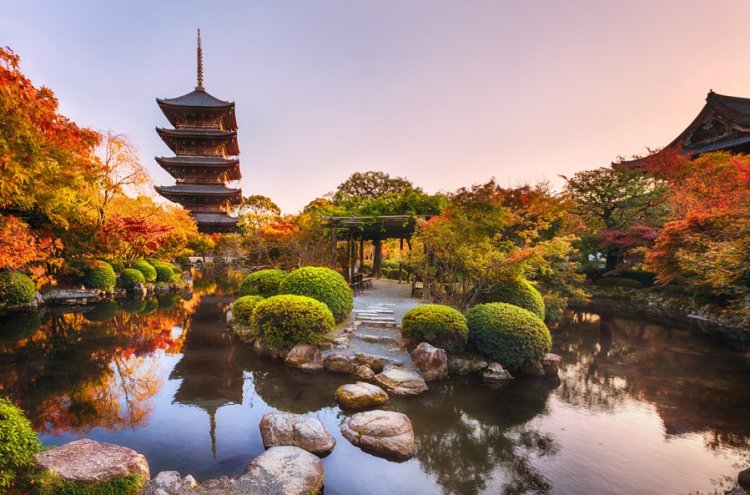 ¡Hazlo realidad! Tu gran viaje a Japón empieza ahora