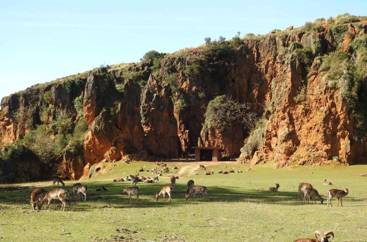 Sumérgete en Cantabria y regálate un respiro termal - Parque Cabárceno