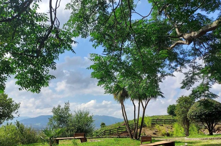 Sumérgete en Cantabria y regálate un respiro termal - Parque Cabárceno