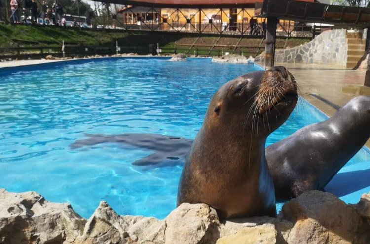 Sumérgete en Cantabria y regálate un respiro termal - Parque Cabárceno