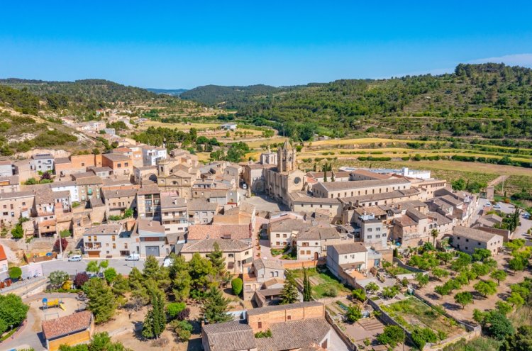 ¡Escapada relajante con hotel 4* y SPA! - Vallbona de les Monges
