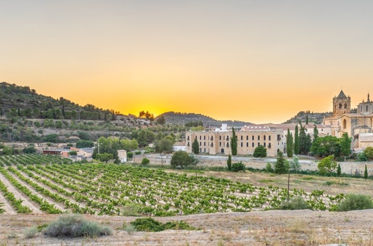 ¡Escapada relajante con hotel 4* y SPA! - Vallbona de les Monges