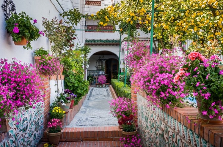 Verano Low Cost en Granada - Granada
