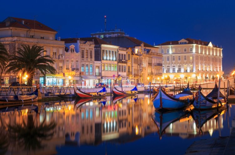 Relax entre viñedos en Tamengos con opción de spa, cerca de Aveiro - Aveiro