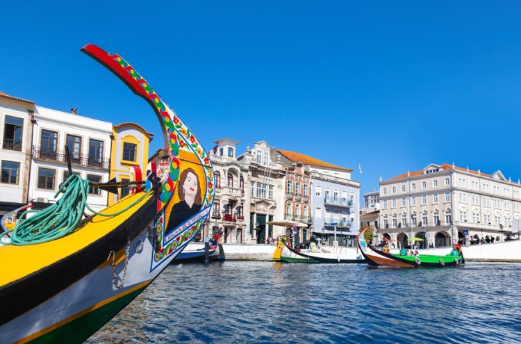 Relax entre viñedos en Tamengos con opción de spa, cerca de Aveiro - Aveiro