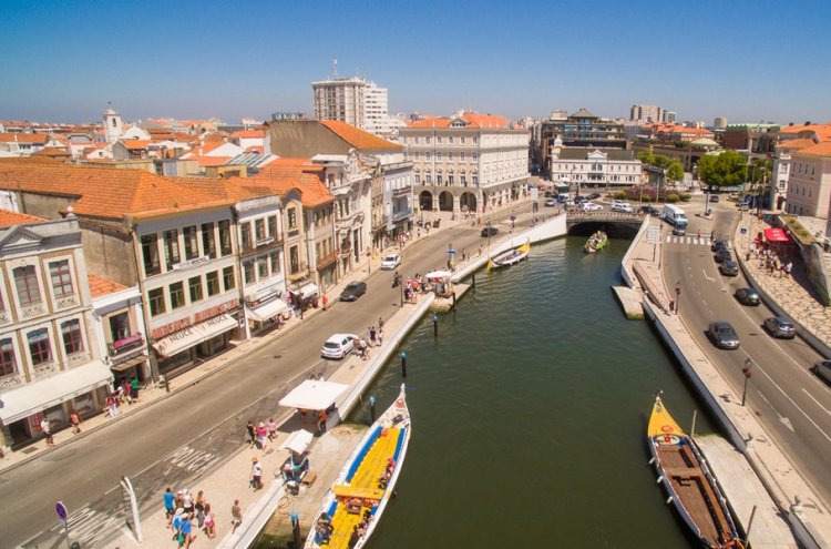 Relax entre viñedos en Tamengos con opción de spa, cerca de Aveiro - Aveiro