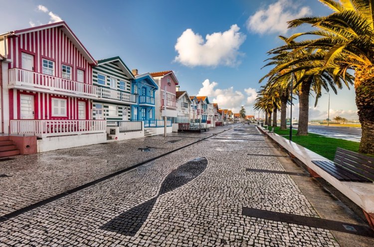 Relax entre viñedos en Tamengos con opción de spa, cerca de Aveiro - Aveiro