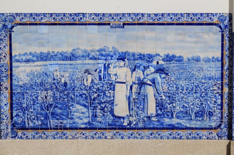 Relax entre viñedos en Tamengos con opción de spa, cerca de Aveiro - Aveiro