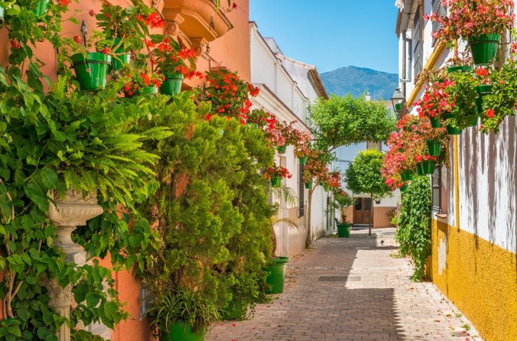 Halloween y más: Estepona y la Costa del Sol: el plan perfecto para desconectar - Estepona