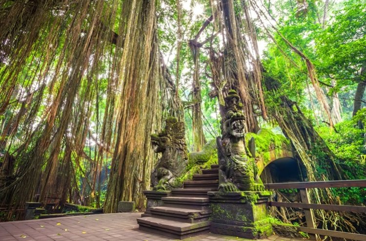 De Hong Kong a Bali: Aventura asiática completa ¡vuelos incluidos!