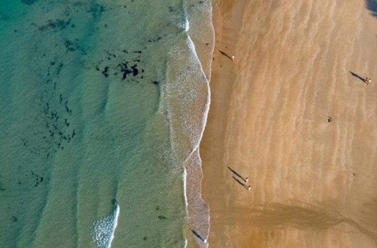 Conil de la Frontera en primera línea de playa - Conil de la Frontera