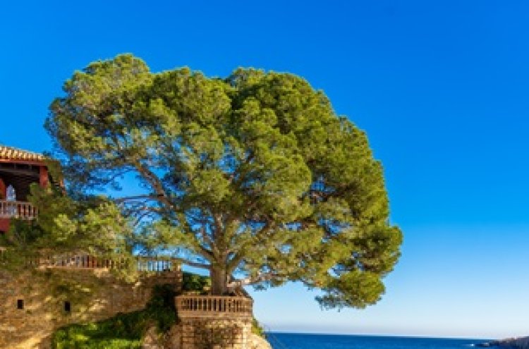 Descubre la Costa Brava este verano: julio y agosto en un ecoresort de ensueño - Begur