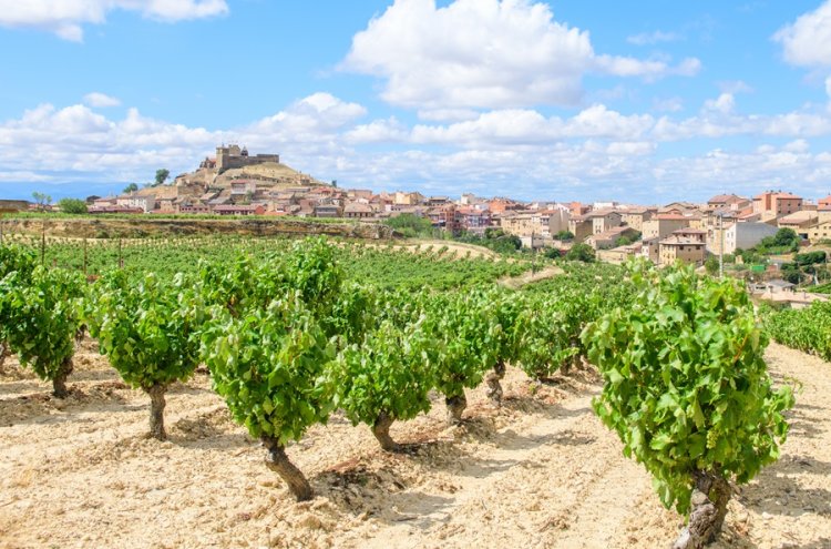 ¡Desconexión entre viñedos! La Rioja desde tu villa privada - La Rioja
