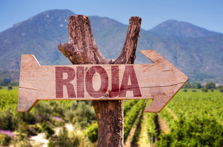 ¡Desconexión entre viñedos! La Rioja desde tu villa privada - La Rioja