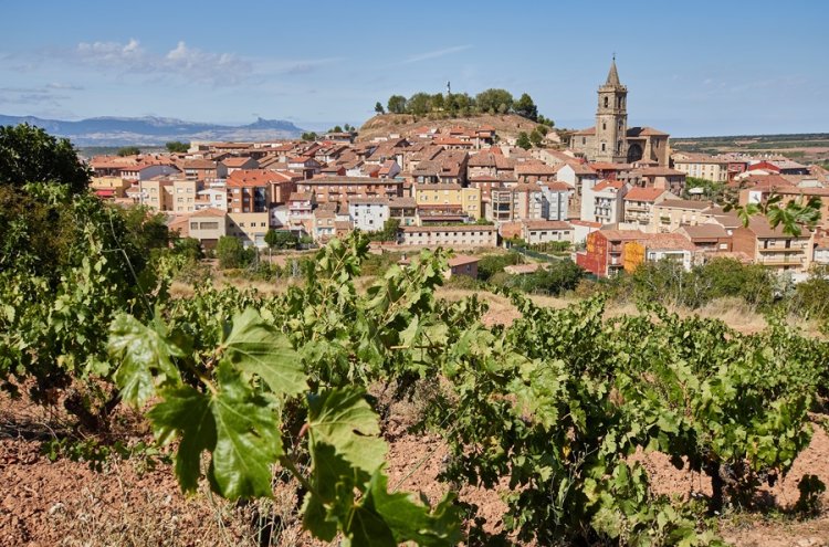 ¡Desconexión entre viñedos! La Rioja desde tu villa privada - La Rioja