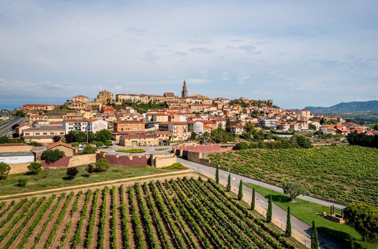 ¡Desconexión entre viñedos! La Rioja desde tu villa privada - La Rioja