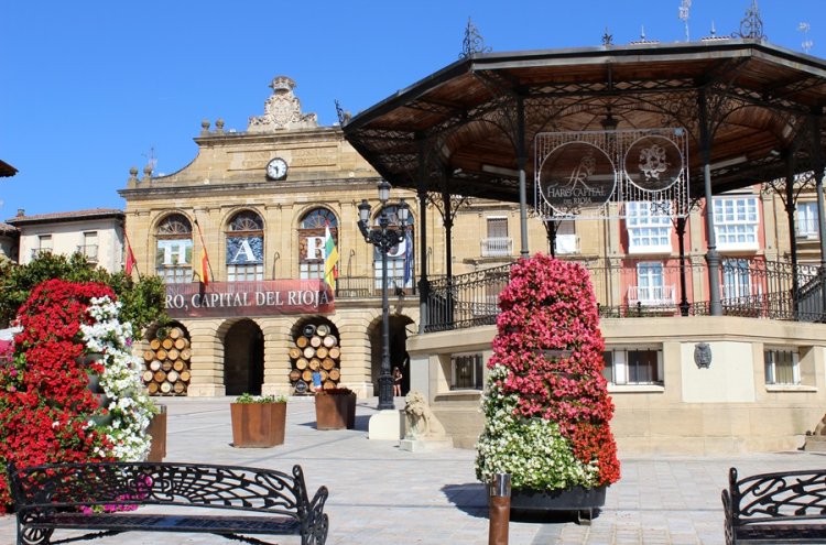 ¡Desconexión entre viñedos! La Rioja desde tu villa privada - La Rioja