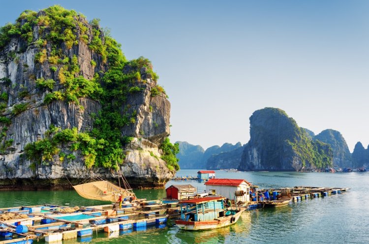 Descubre Vietnam y todos sus contrastes - Bahía de Ha Long