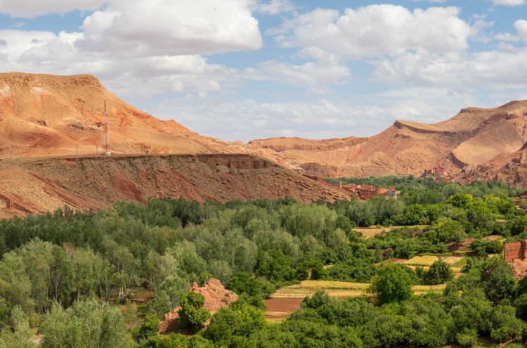 Marruecos: ¡8 días con vuelos y visitas!