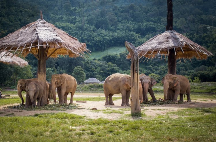 TAILANDIA: desde Bangkok a Chiang Mai ¡vuelos incluidos!