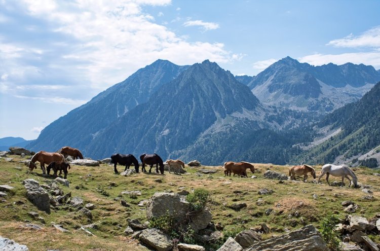 Disfruta del descanso que mereces en un hotel 4* en el Pirineo Aragonés - Formigal