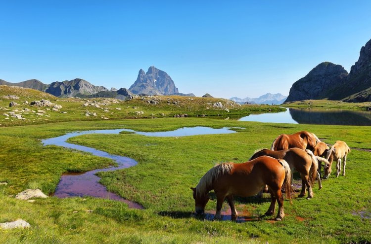 Disfruta del descanso que mereces en un hotel 4* en el Pirineo Aragonés - Formigal