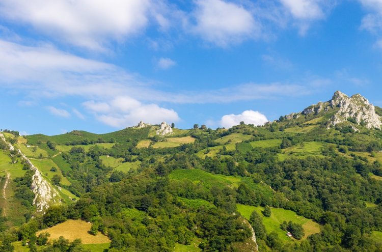 ¡Pon rumbo al norte! Una escapada entre paisajes y rincones de Asturias - Asturias