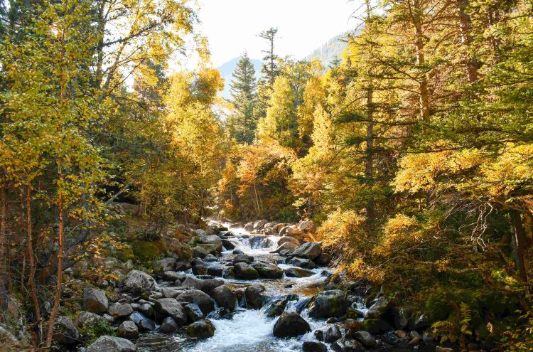 ¡Relax en Andorra! Hotel 4* y entradas para Caldea Premium - Andorra