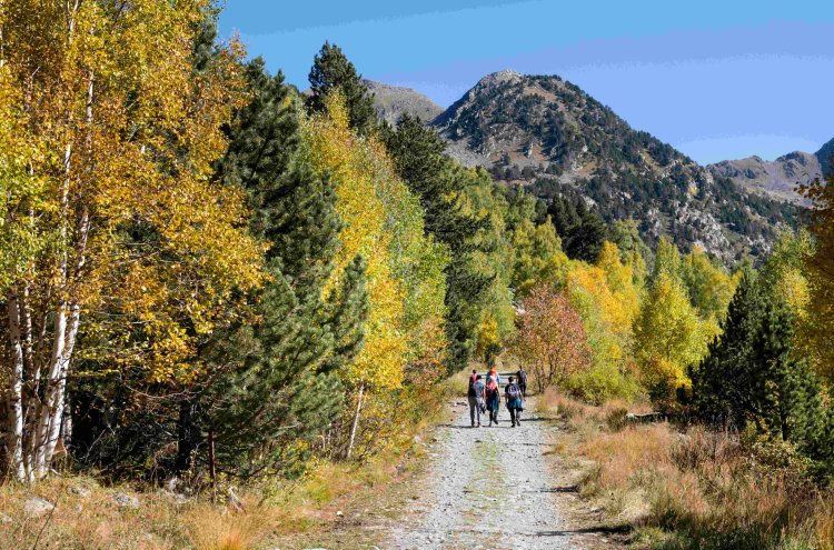 ¡Relax en Andorra! Hotel 4* y entradas para Caldea Premium - Andorra