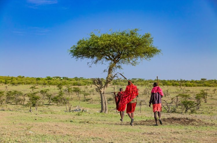 Kenia al completo: safari salvaje y playas paradisíacas con vuelos incluidos