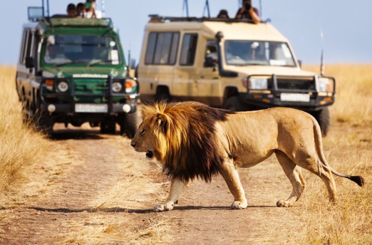 Kenia al completo: safari salvaje y playas paradisíacas con vuelos incluidos