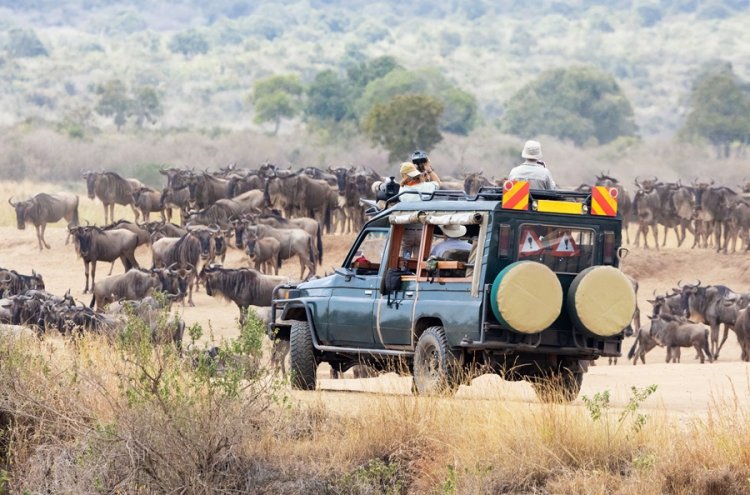 Kenia al completo: safari salvaje y playas paradisíacas con vuelos incluidos