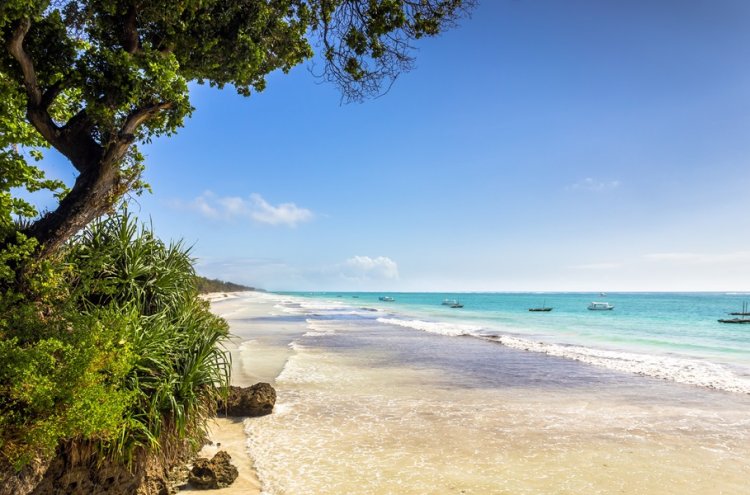 ¡Experiencia: Kenia! De las playas del Índico al Safari más salvaje