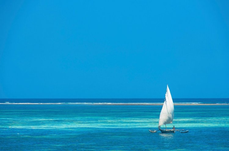 ¡Experiencia: Kenia! De las playas del Índico al Safari más salvaje