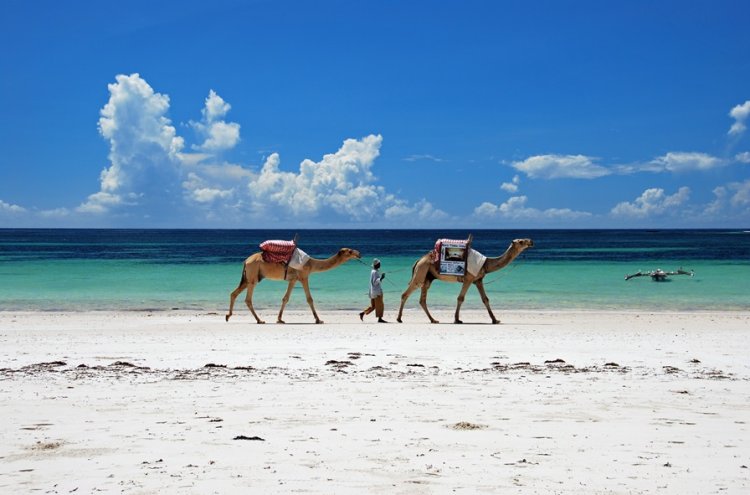 ¡Experiencia: Kenia! De las playas del Índico al Safari más salvaje