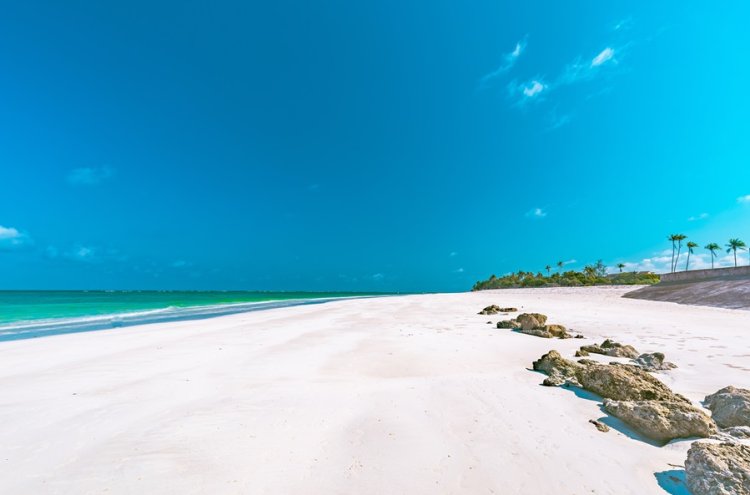 ¡Experiencia: Kenia! De las playas del Índico al Safari más salvaje