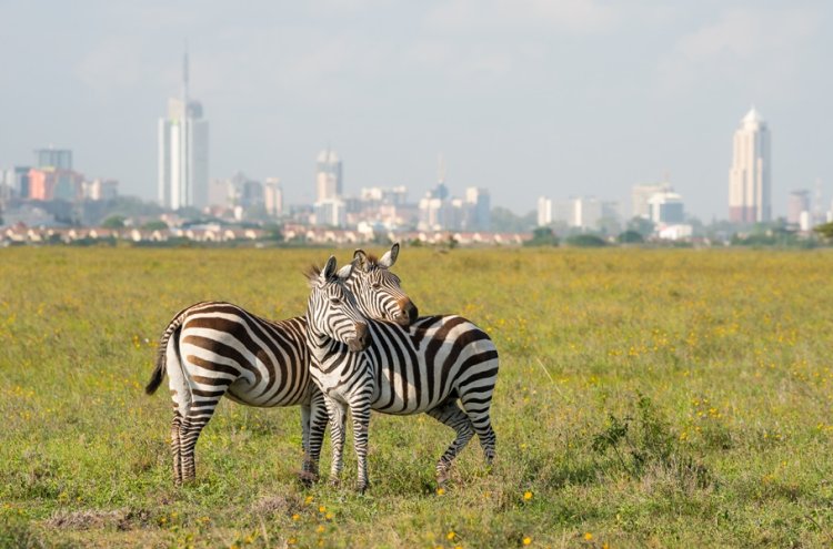 Kenia al completo: safari salvaje y playas paradisíacas con vuelos incluidos - Nairobi