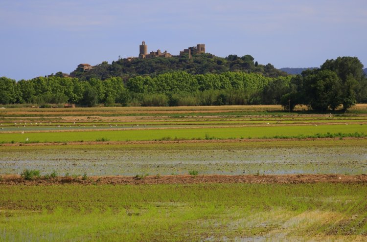 Descubre Pals desde un apartamento junto a la Costa Brava - Pals Girona