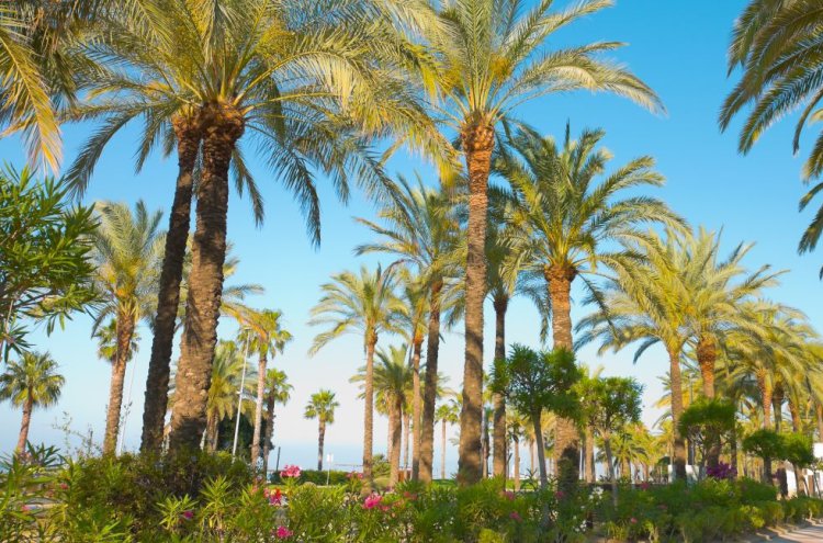 Escapadinha com sabor catalão: calçotada, vinho e descanso perto de Tarragona