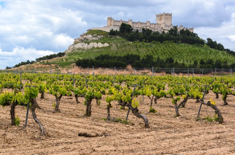 Relax entre viñedos: hotel 4* con spa en la Ribera del Duero - Peñafiel