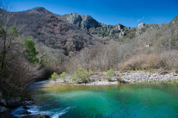 Naturaleza en estado puro en Asturias junto a Cangas de Onís - Cangas de Onís