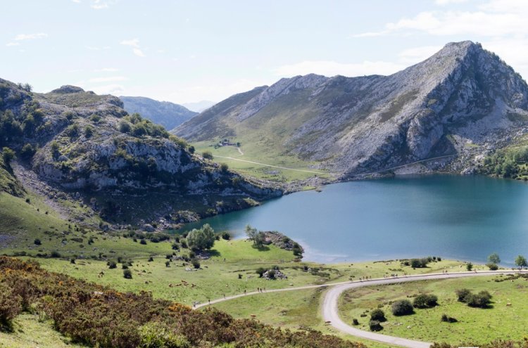 Naturaleza en estado puro en Asturias junto a Cangas de Onís - Cangas de Onís