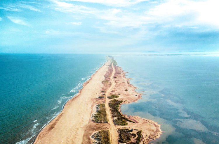 Arrozales, flamencos y Mediterráneo: escapada al Delta del Ebro - Delta del ebro