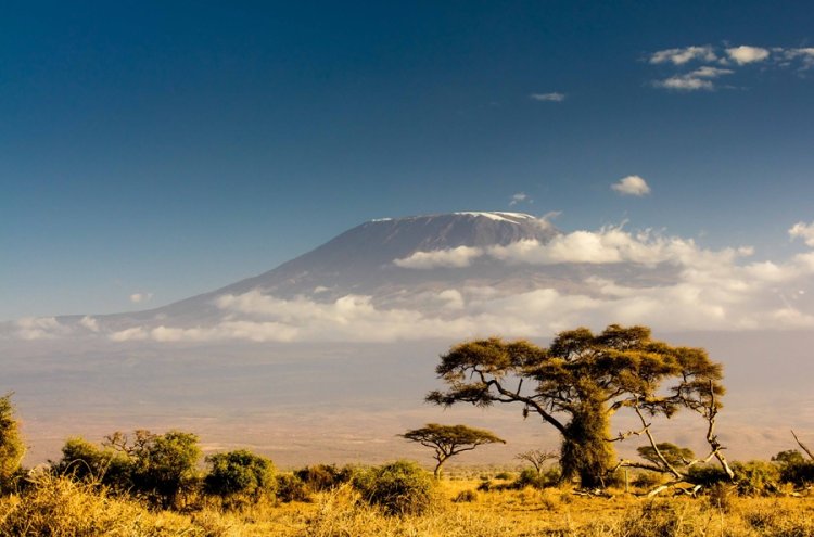 Tanzania: safari y contrastes de naturaleza y fauna